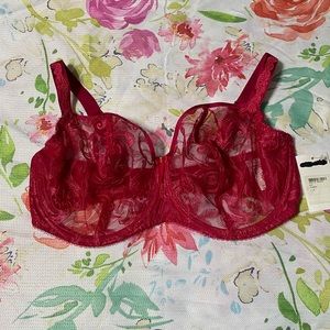 Fantasie, 36h(US size),bra. NWT